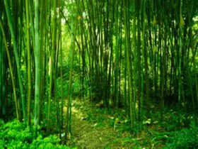 私募基金行业法律动态(2020年4月/总第26期)
